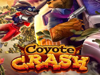 Coyote Crash