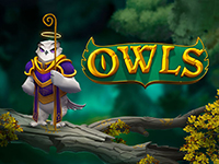 Owls