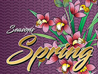 Seasons Spring
