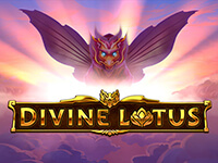 Divine Lotus