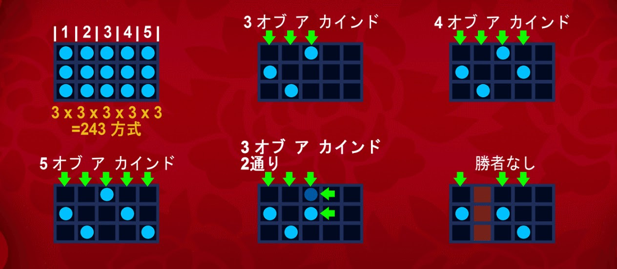 配当ライン