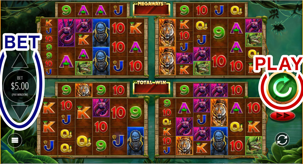 How to Play