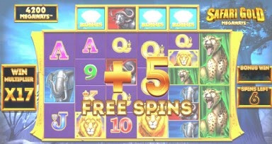 Free Spin3