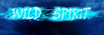 WILD SPIRIT Slot
