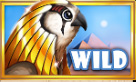 Wild Symbol