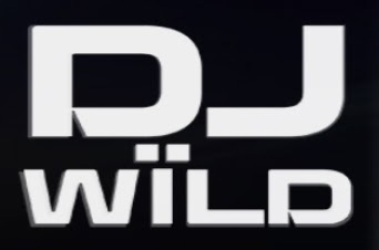 DJ WILD Slot