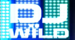 Wild Symbol