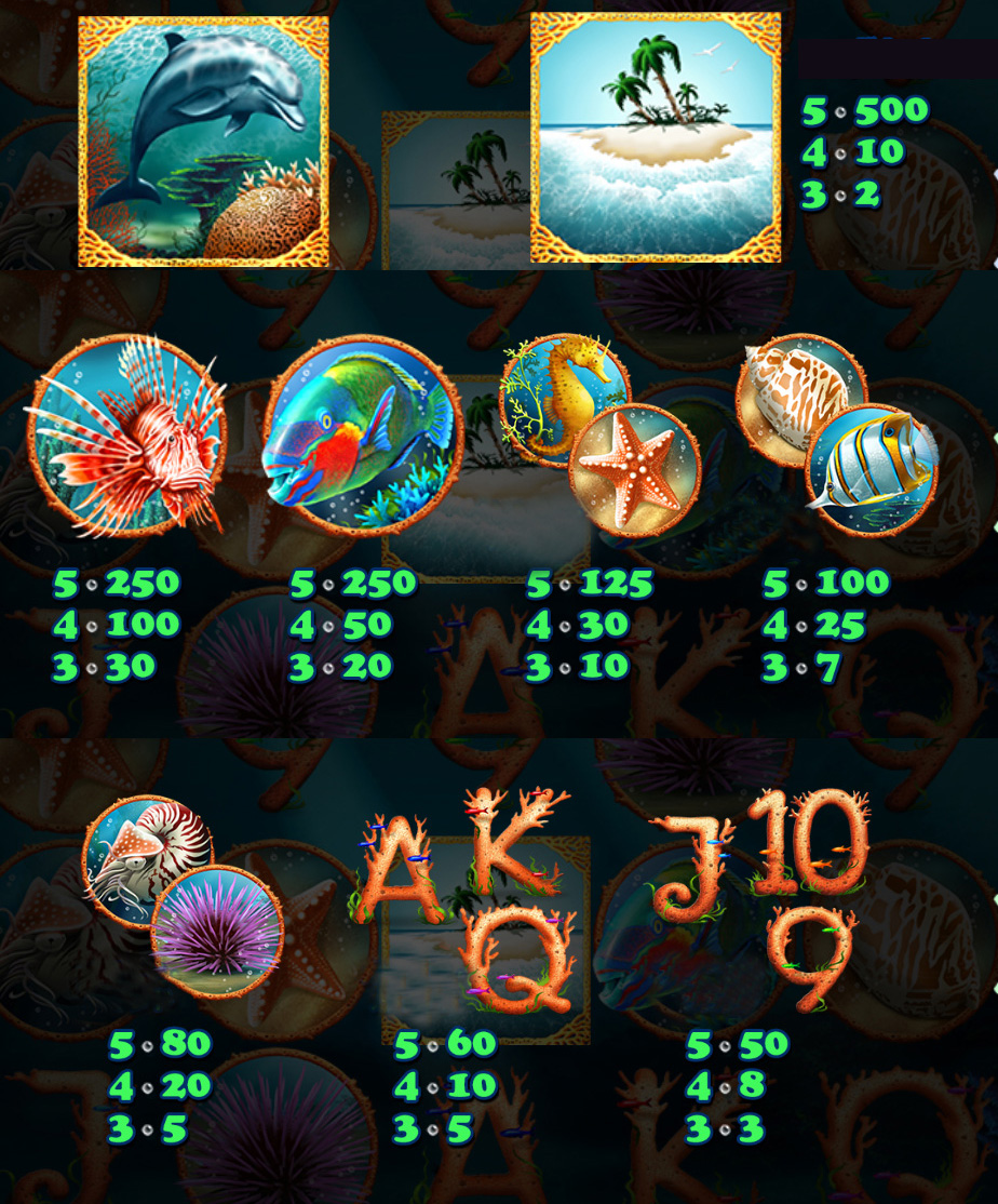 Payout Rates