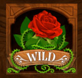 WILD Symbol