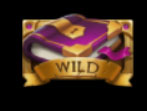 WILD Symbol
