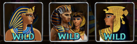 WILD Symbol
