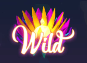 WILD Symbol