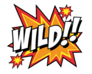 Wild Symbol