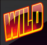 WILD Symbol