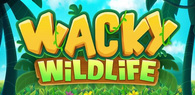 WACKY WILDLIFE スロット