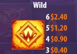 Wild Symbol
