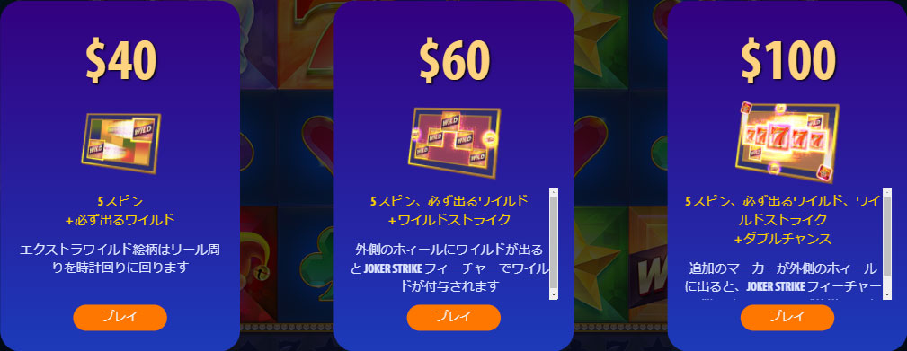ハイローラー購入2