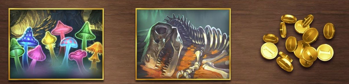 Safari Bonus4