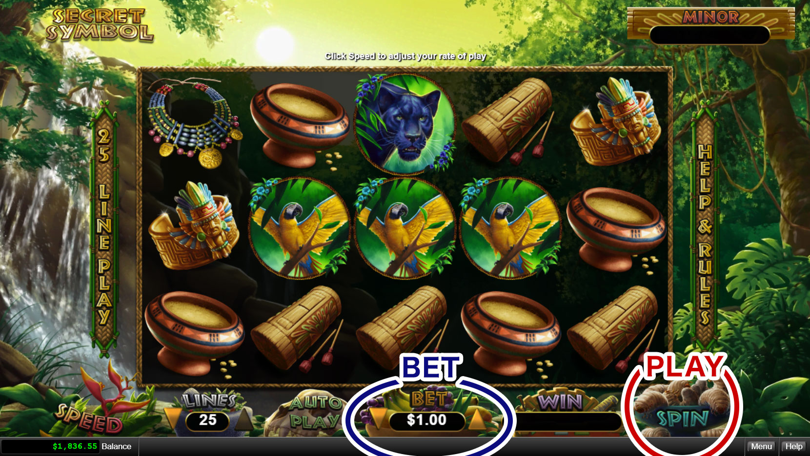 How to Play