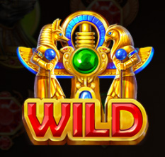 WILD Symbol