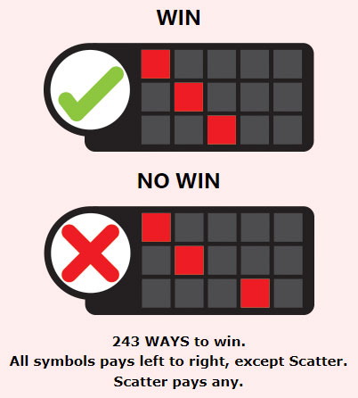 Payout Lines