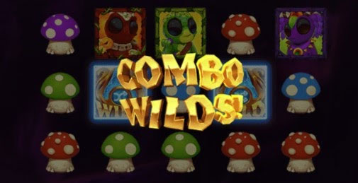 Combo Wild2