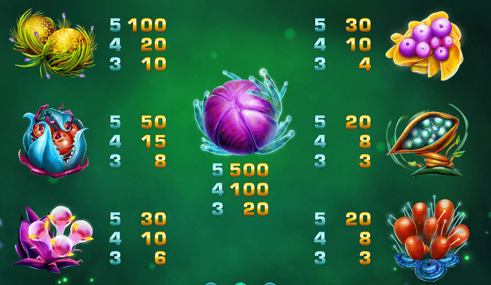 Payout Rates