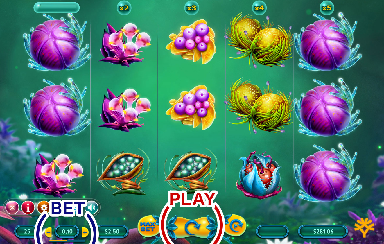 How to Play