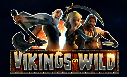 VIKINGS GO WILD Slot