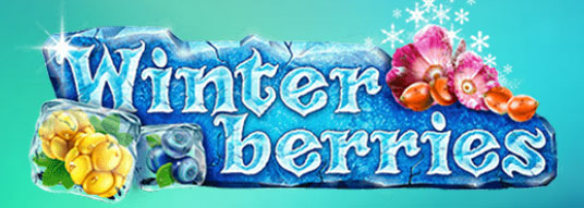 WINTER BERRIES Slot