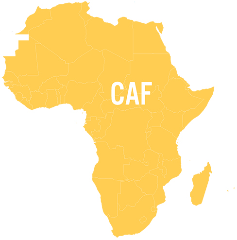 Afrikanische Nationalmannschaftsfußballspiele